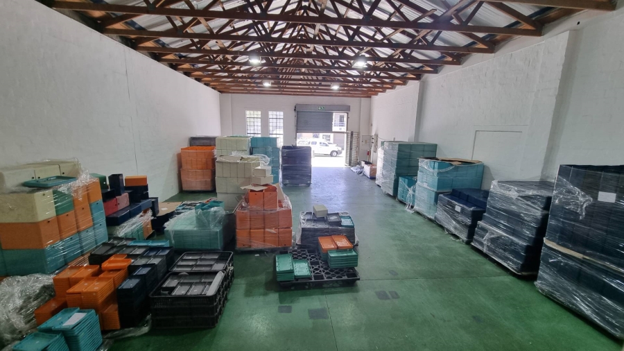 To Let commercial Property for Rent in Observatory Western Cape